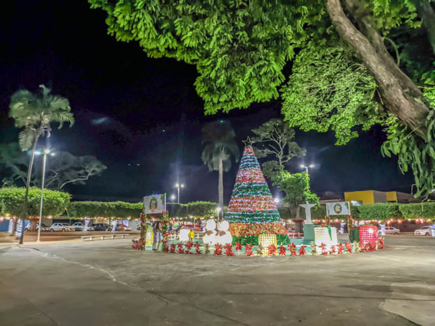 Arvore praça central