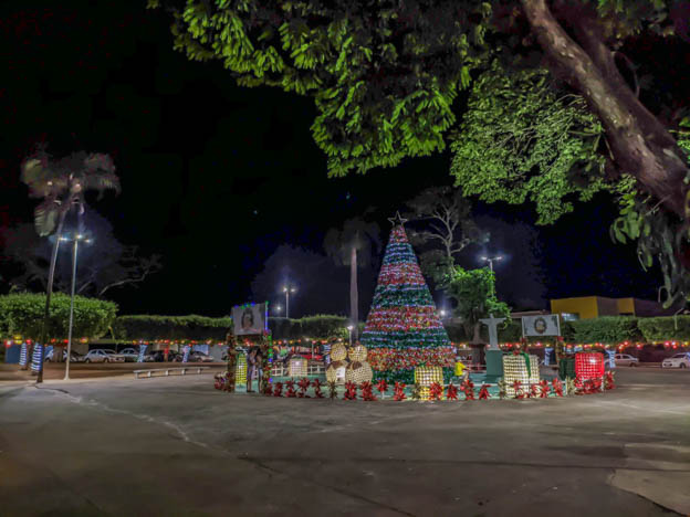 Arvore da praça central