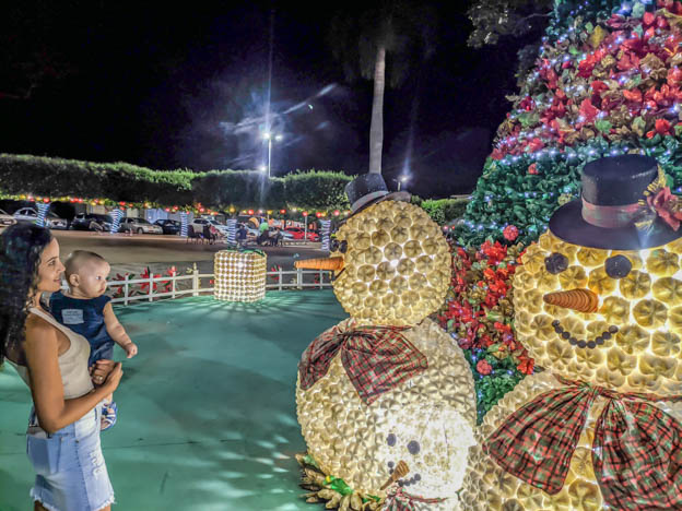 Arvore da praça central