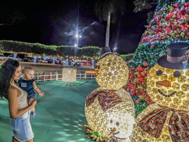 Arvore da praça central