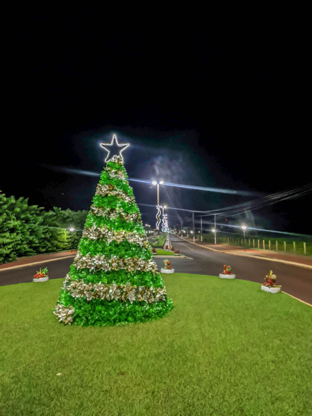 Arvore da entrada da cidade