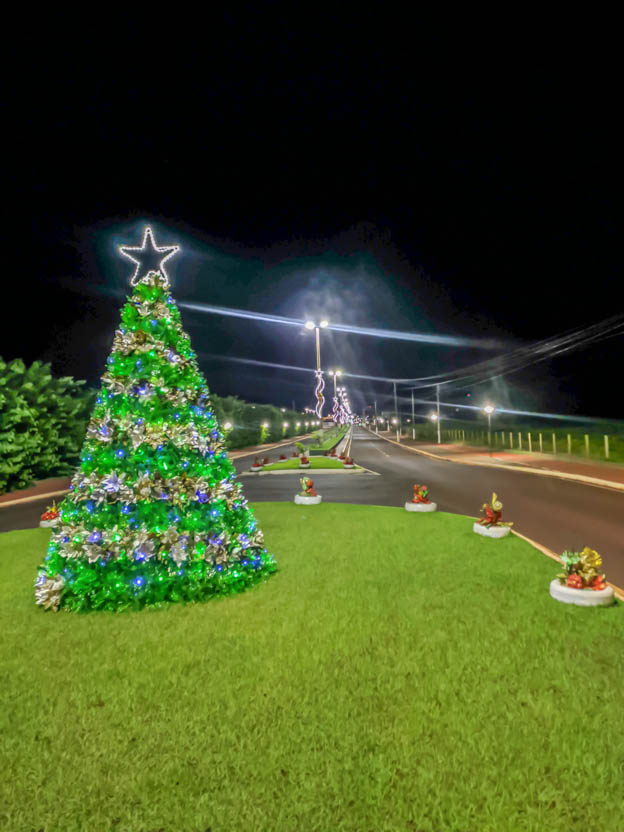 Arvore da entrada da cidade