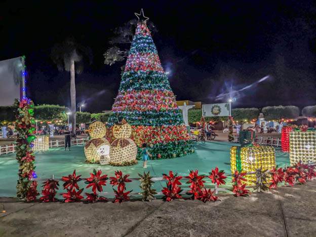 Arvore da praça central